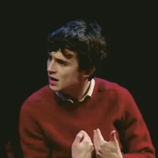 😟 ef214058 Timothée Chalamet attore, persona, ritratto, celebrità telegram sticker