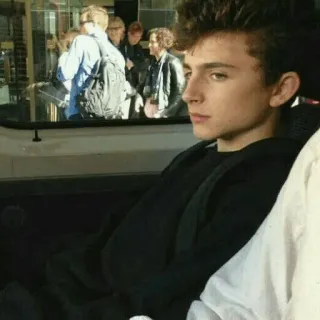 😒 ffb342e5 Timothée Chalamet attore, celebrità, Timothée Chalamet, ritratto, uomo telegram sticker