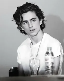 🦇 1253c49e Timothée Chalamet 提莫西·查拉梅, 演员, 名人, 肖像, 黑白 telegram sticker