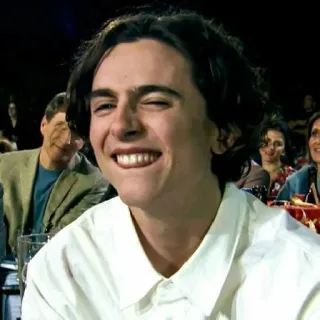 🦇 13f8cd41 Timothée Chalamet 演员, 名人, 人物, 微笑, 眨眼 telegram sticker