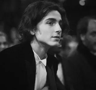 🦇 20b588cb Timothée Chalamet 演员, 男人, 名人, 肖像, 黑白 telegram sticker