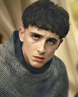 🦇 22acfa06 telegram sticker