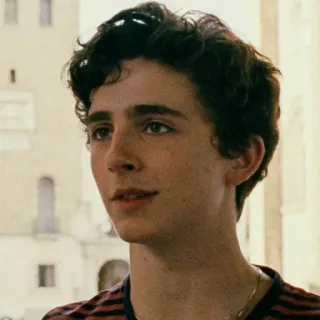 🦇 24f57ed0 Timothée Chalamet 演员, 名人, 肖像, 男人 telegram sticker
