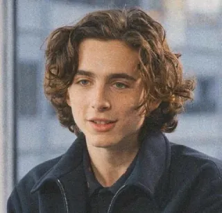 🦇 2cdfde97 Timothée Chalamet 演员, 肖像, 名人, 男人, 头发, 眼睛 telegram sticker