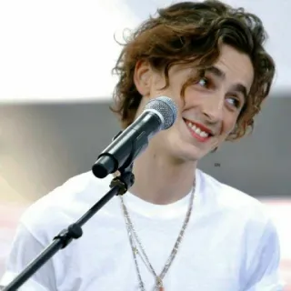 🦇 4027166d Timothée Chalamet 提莫西·查拉梅, 演员, 名人, 男人 telegram sticker