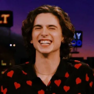 🦇 4bdaade4 Timothée Chalamet 演员, 名人, 男人, 微笑, 肖像 telegram sticker
