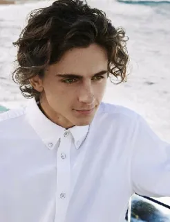 🦇 5358b773 Timothée Chalamet 提莫西·查拉梅, 演员, 名人, 男人, 肖像 telegram sticker