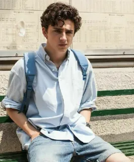 🦇 55f8c8fc telegram sticker