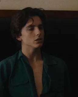 🦇 6453500b Timothée Chalamet 演员, 名人, 肖像, 男人, 男性 telegram sticker