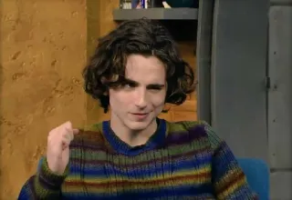 🦇 83837902 Timothée Chalamet 演员, 名人, 肖像 telegram sticker