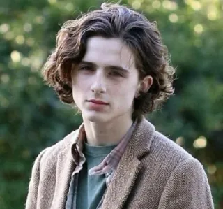 🦇 b1cb617a Timothée Chalamet 演员, 名人, 肖像, 男人, 头发 telegram sticker