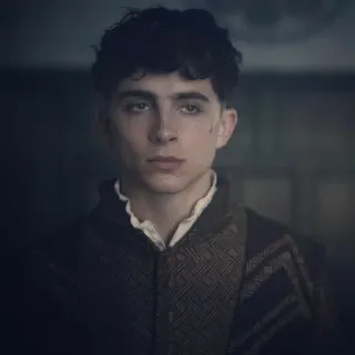 🦇 bc2e0261 提莫西·查拉梅, 演员, 肖像, 男人, 名人 telegram sticker