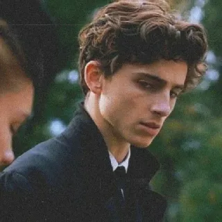 🦇 cce57bb3 Timothée Chalamet 提莫西·查拉梅, 演员, 名人, 肖像, 男人 telegram sticker