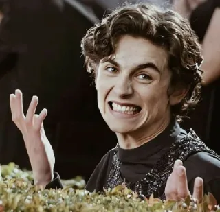 🦇 d6136738 telegram sticker