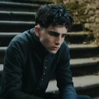 🦇 d863ae32 telegram sticker