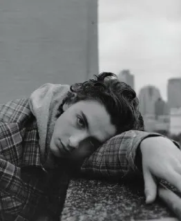 🦇 da0e882e telegram sticker