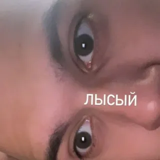 😍 7cc122bf ЛЫСЫЙ mata, close-up, botak, rusia, wajah telegram sticker