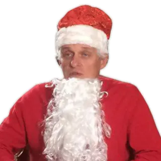 🌲 e6794414 圣诞老人, 圣诞节, 节日, 男人, 胡子 telegram sticker