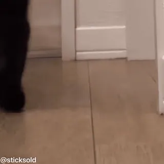 🥺 1985639e @sticksold telegram sticker