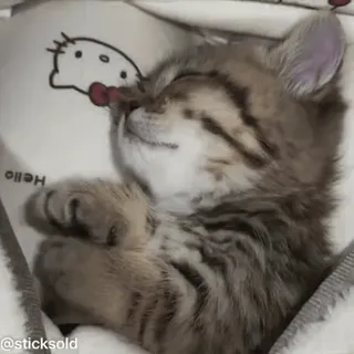 НАЖМИ СЮДА - @KROXI1 whatsapp stickers