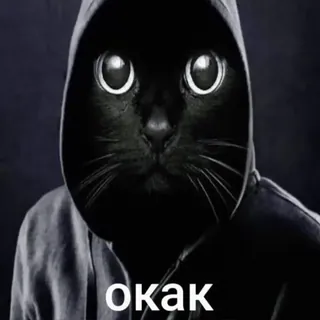 😜 e757e50f окак 猫, 黑猫, 连帽衫, 梗, 俄语, 文本 telegram sticker