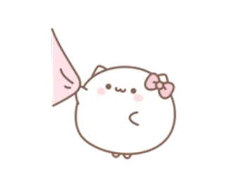 💞 d4b3fcbd кот, милый, каваий, животное, стикер whatsapp sticker