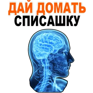 😍 0a30cab1 ДАЙ ДОМАТЬ СПИСАШКУ cerveau, triche, étude, école, russe, texte, éducatif whatsapp sticker