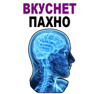 Tired Brain @stickersb2b telegram stickers