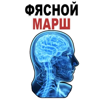 😒 3604238d ФЯСНОЙ
МАРШ cerveau, tête, texte russe, Фясной Марш, marche whatsapp sticker