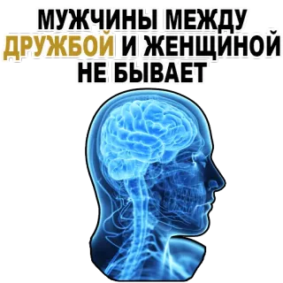 😊 3b09bf32 МУЖЧИНЫ МЕЖДУ ДРУЖБОЙ И ЖЕНЩИНОЙ НЕ БЫВАЕТ hommes, amitié, femme, cerveau, relation whatsapp sticker