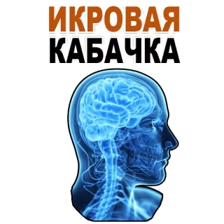 😝 551ed024 ИКРОВАЯ
КАБАЧКА caviar de courge, cerveau, tête, nourriture, russe, texte, caviar whatsapp sticker