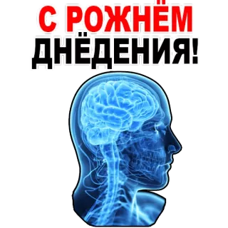 😊 89041424 С РОЖДЕНИЕМ ДНЁДЕНИЯ! anniversaire, cerveau, fête, salutations whatsapp sticker