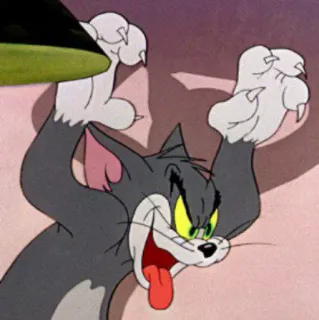 😾 ad04aecc Tom Cat Tom and Jerry cat, cartoon, angry, frustrated, Tom and Jerry, animation telegram sticker