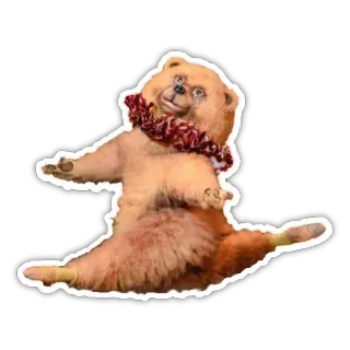 😒 ccd05ffe หมี, สัตว์, ของเล่น, น่ารัก telegram sticker