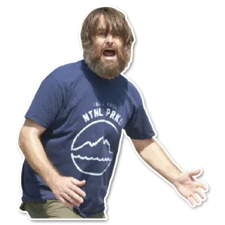 😀 944ec6e8 NTNL PRKS man, beard, t-shirt, national parks, mountains, nature, sticker telegram sticker