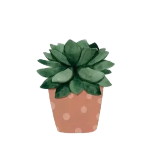 💚 25ee2fac succulente, plante, plante en pot, plante d'intérieur, plante d'intérieur, echeveria telegram sticker