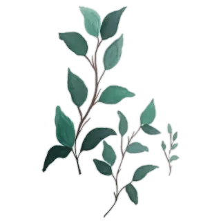 🌿 c24392bf feuilles, vert, plante, feuillage, nature, botanique, branche telegram sticker