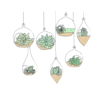 🗝 c985b8ab Terrarium, Plante, Succulente, Décoration, Suspendu, Verre, Intérieur telegram sticker
