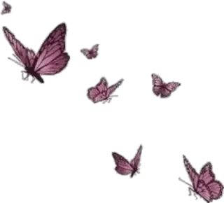 🦋 e5d50bff papillon, nature, rose, insectes, animaux, autocollant telegram sticker