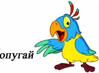 🐦 9d99e44d попугай pappagallo, uccello, animale telegram sticker