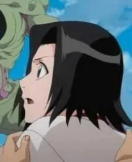 🌺 25ba271d Isane Kotetsu Bleach アニメ, 女性, 黒髪, 横顔, ブリーチ telegram sticker