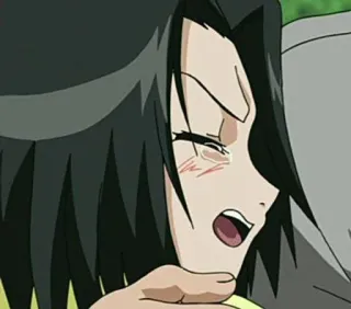 🌺 28857538 telegram sticker