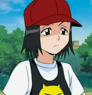 🌺 cc4d5bb6 telegram sticker