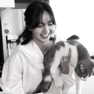 🐈‍⬛️ 7c206452 人, 猫, 笑顔, 屋内, モノクロ telegram sticker