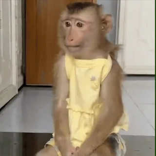 ⛔️ НЕ ЖМИ 👉🏻 @St1ck_hub telegram stickers