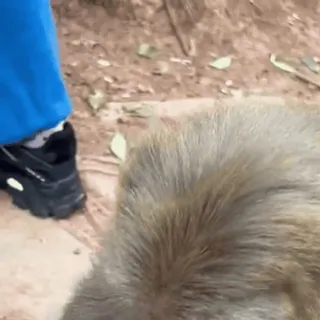 😏 5963bb4f telegram sticker