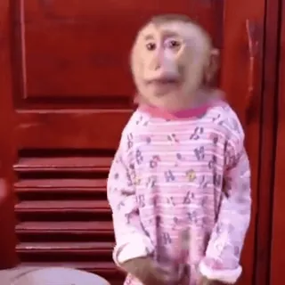 💃 b8038d03 khỉ, động vật, động vật có vú, linh trưởng, dễ thương, pijama telegram sticker