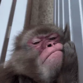 ⛔️ НЕ ЖМИ 👉🏻 @St1ck_hub telegram stickers