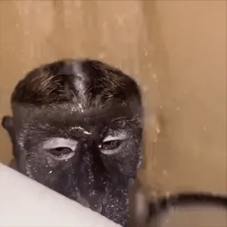 😎 cc3e37f9 telegram sticker