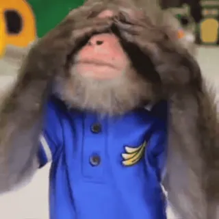 🫣 f2bdcd6c khỉ, vượn người, mắt, ẩn nấp, dễ thương, động vật, vui nhộn telegram sticker